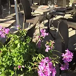 Logis & Restaurant Le Savinien فندق