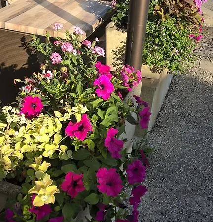 Logis & Restaurant Le Savinien 2*